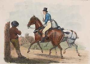 A Horse Rider
